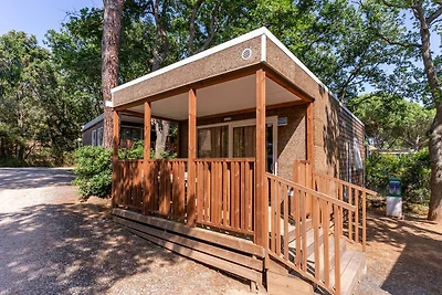 Mobilhome im Ferienpark mit grosser...