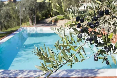 Bellissimo appartamento con piscina privata