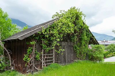 Appartamento Moiklerhof