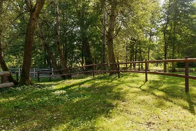 Ferienhaus auf einem Pferdehof in Heide