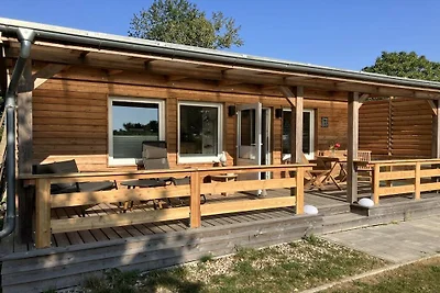 Hühnergott beim Boddenstrand