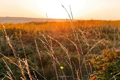 4 Personen Ferienhaus in Rømø-By Traum