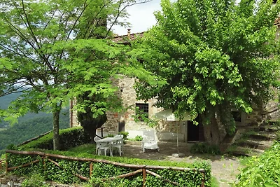 Bauernhaus in Dicomano mit Terrasse
