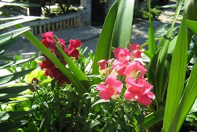 Apartments Elelu - Two-Bedroom Apartment with...