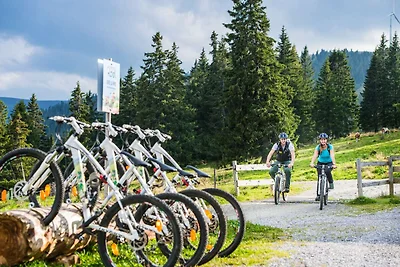 Attraktives Chalet mit Infrarotsauna