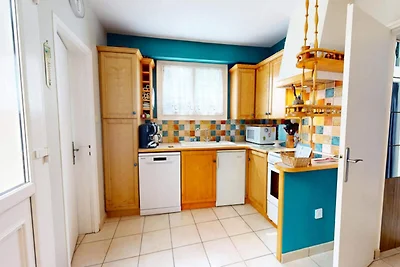 Die Möwe des Lebens