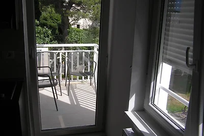 Apartments Despot Zaostrog RB