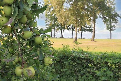 5 persoons vakantie huis in Stubbekøbing-By...