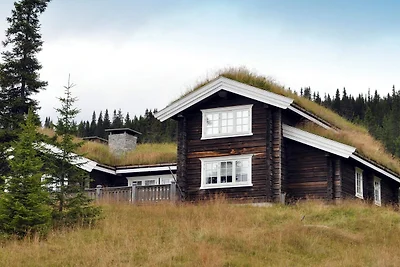 12 Personen Ferienhaus in Fåvang-By Traum