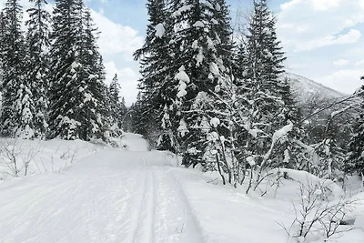 4 Sterne Ferienhaus in Hemsedal