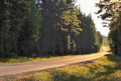 4 Sterne Ferienhaus in TÄVELSÅS