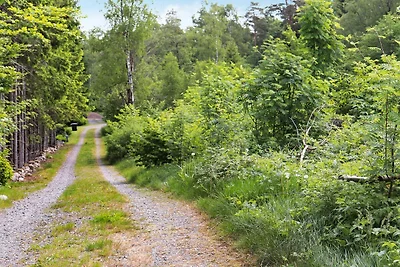 4 persoons vakantie huis in Åsljunga-By Traum