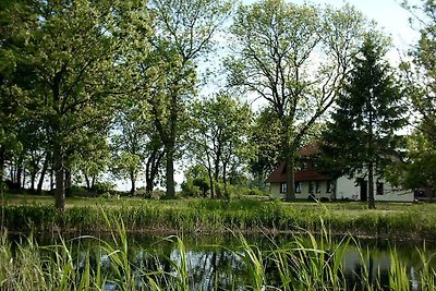 Fünfschläfer Komfortable Ferienresidenz