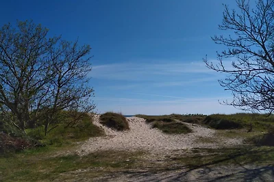 4 Personen Ferienhaus in Aakirkeby-By Traum