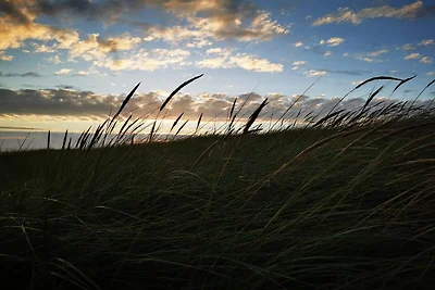 8 Personen Ferienhaus in Blåvand