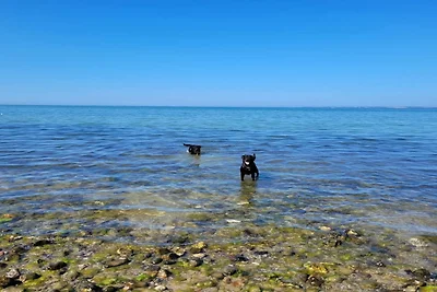 5 stelle case ad Asnæs-By Traum