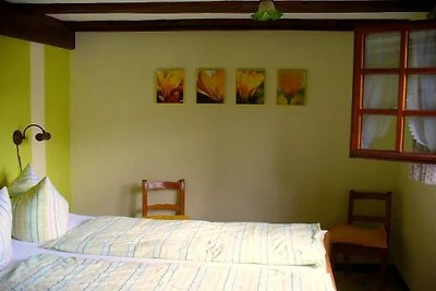 Maison de vacances à Müden avec piscine