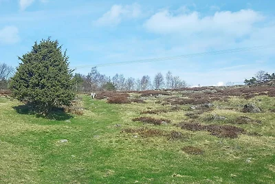 4 Personen Ferienhaus in KYRKESUND-By Traum