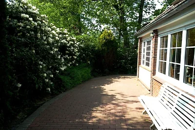 Vakantiehuis met 1 slaapkamer