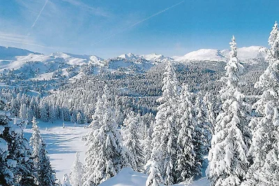 Chalet in Turracherhöhe bij Skiliften