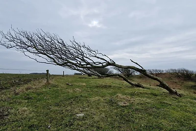 6 persoons vakantie huis in Spøttrup-By Traum