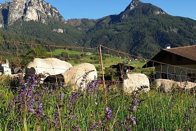 Staudnerhof Residenza di vacanza confortevole