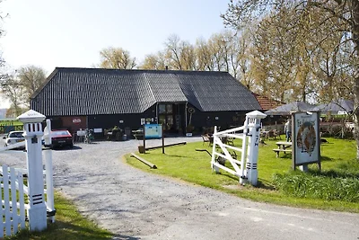 Modern vakantiehuis in Nieuwvliet met tuin
