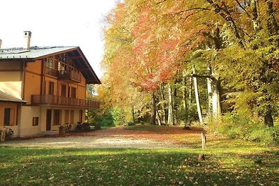 Lichtung im Parkchâlet