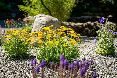 Hütte in Ofterschwang mit Schwimmbecken