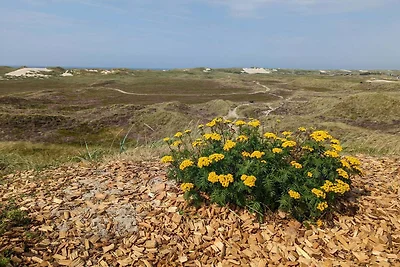 Gemutliches Strandhaus -- By Traum...