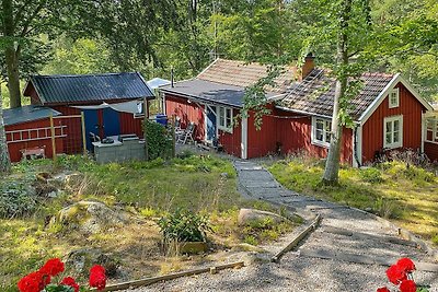 4 Personen Ferienhaus in öRSJö