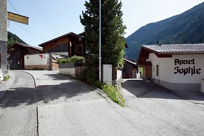 Wohnung in Kappl nahe Skipisten
