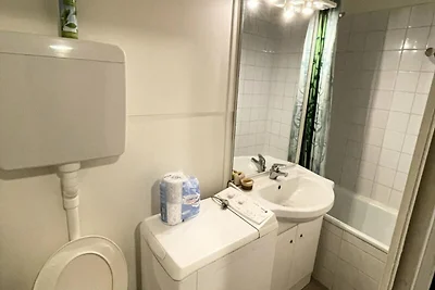 Wohnung in Le Mont-Dore mit Bergblick