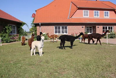 Ferienhaus Erholungsurlaub Carpin