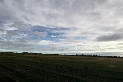 4 stelle case ad Dannemare