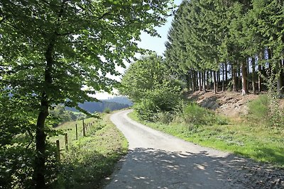 Gezellig vakantiehuis in Hochsauerland met...