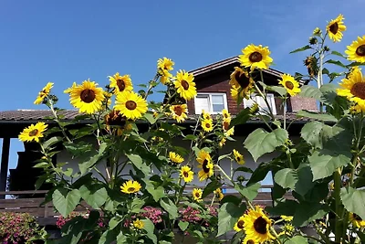 Ferienwohnung in Regen mit Schwimmbecken
