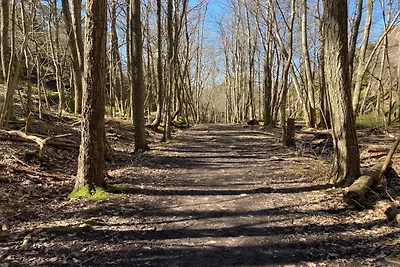 4 sterren vakantie huis in HJÄLTEBY-By Traum