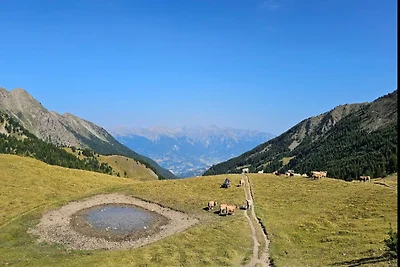 Residenz Le Balcon Des Airelles