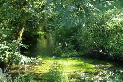 Prachtig terrein in Dartmoor National Park me...