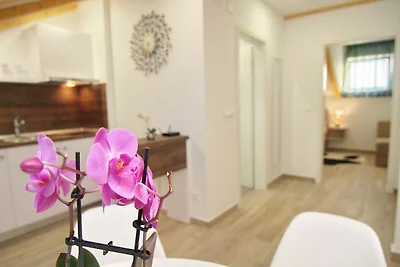 Holiday flat family holiday Dubrovnik & Vicinity