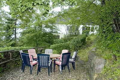 Ferienhaus in Schmallenberg mit Barbecue