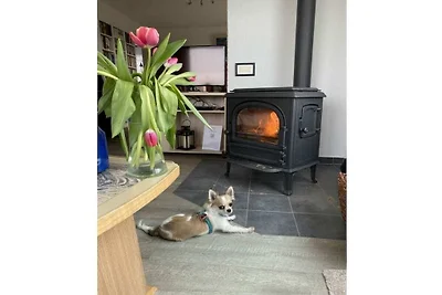 Vakantiehuis in Pommerby met zwembad