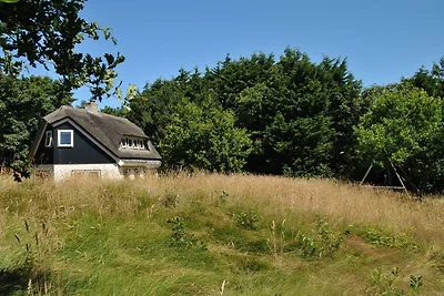 Luxusvilla an den Dünen