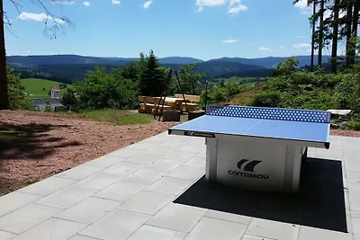 Dom w naturze - widok na Feldberg