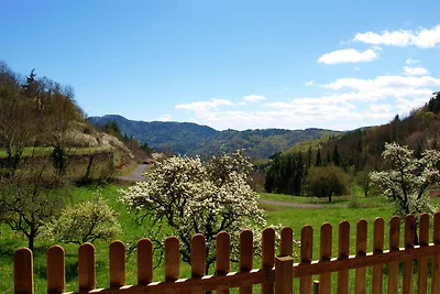 Casa vacanze vicino al fiume