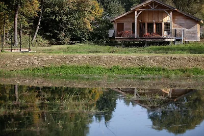 Hütte Die frühen Vögel in Vencimont