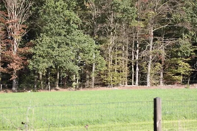 Chalet a Hengelo vicino a riserve naturali