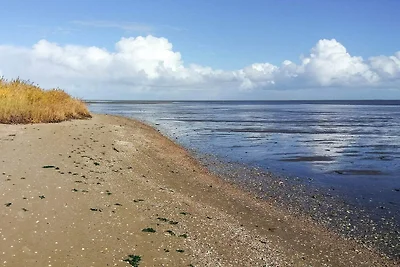 Ritiro di lusso a Romo -- By Traum...