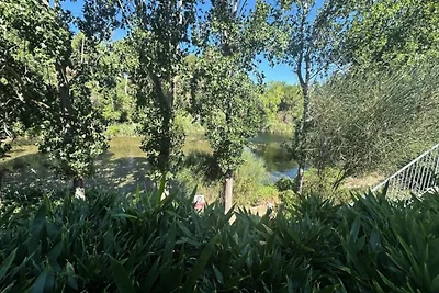 Apartment in Six-Fours in Strandnähe